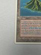 画像4: ドイツ語《Volcanic Island》[FWB] HP (4)