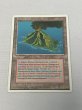 画像1: ドイツ語《Volcanic Island》[FWB] HP (1)