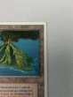 画像3: ドイツ語《Volcanic Island》[FWB] HP (3)