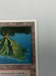 画像3: ドイツ語《Volcanic Island》[FWB] HP (3)