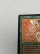 画像2: 《Drop of Honey》[ARN] MP (2)