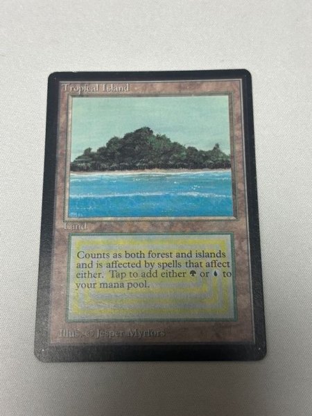 画像1: 《Tropical Island》[LEB] MP (1)