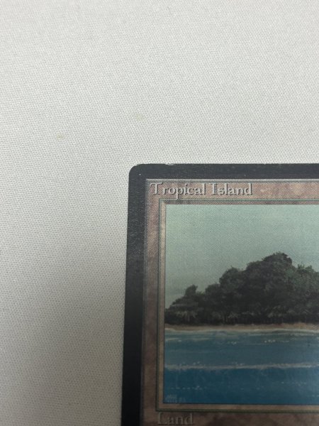 画像2: 《Tropical Island》[LEB] MP (2)