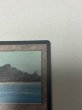 画像3: 《Tropical Island》[LEB] MP (3)