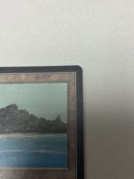 画像3: 《Tropical Island》[LEB] MP (3)