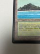 画像4: 《Tropical Island》[LEB] MP (4)