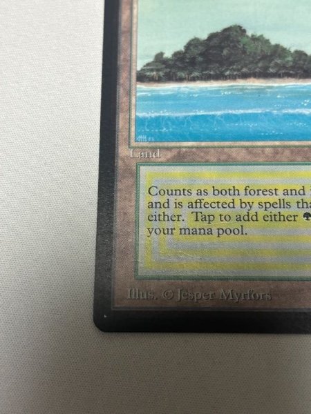 画像4: 《Tropical Island》[LEB] MP (4)