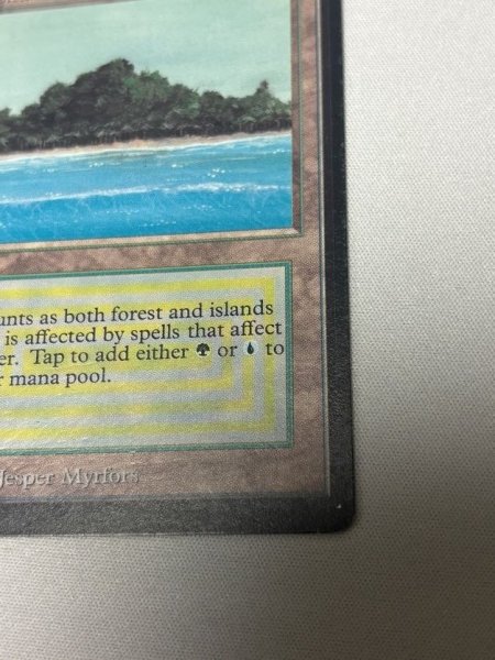 画像5: 《Tropical Island》[LEB] MP (5)