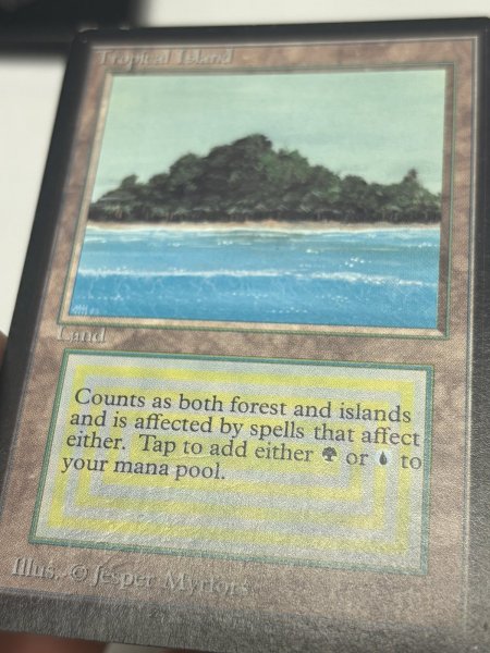 画像8: 《Tropical Island》[LEB] MP (8)
