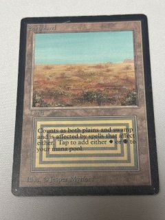 デュアルランド/Dual Land - MTG専門店 Initiative