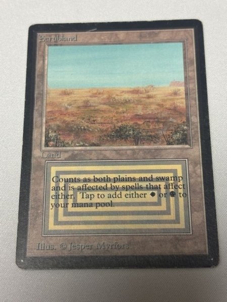 画像1: 《Scrubland》[LEB] MP (1)