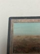 画像2: 《Scrubland》[LEB] MP (2)