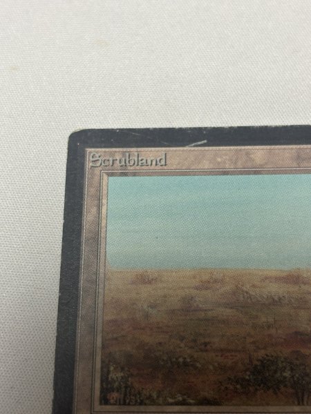 画像2: 《Scrubland》[LEB] MP (2)