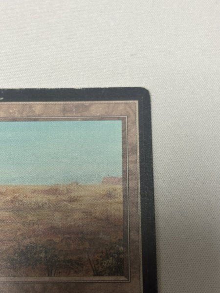 画像3: 《Scrubland》[LEB] MP (3)