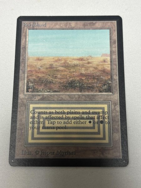 画像1: 《Scrubland》[LEB] SP (1)