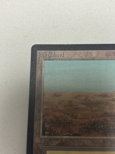 画像2: 《Scrubland》[LEB] SP (2)