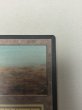 画像3: 《Scrubland》[LEB] SP (3)