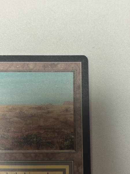 画像3: 《Scrubland》[LEB] SP (3)