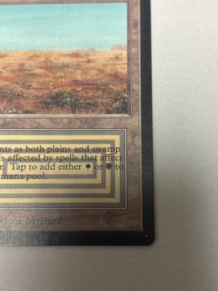 画像5: 《Scrubland》[LEB] SP (5)