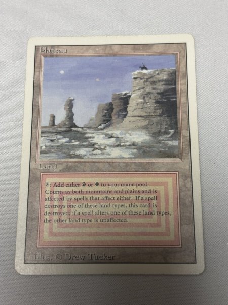 画像1: 《Plateau》[3ED] MP (1)