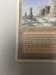 画像4: 《Plateau》[3ED] MP (4)