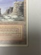画像5: 《Plateau》[3ED] MP (5)