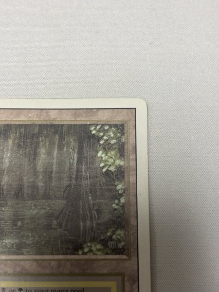 画像3: 《Bayou》[3ED] HP (3)