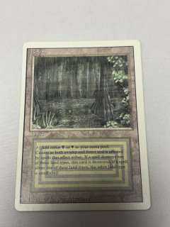 Bayou - MTG専門店 Initiative