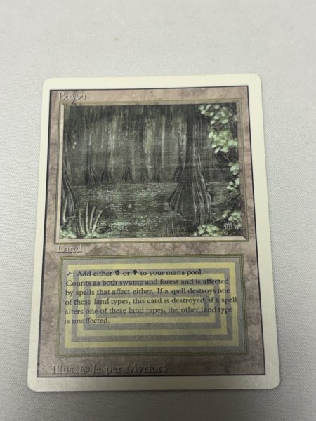 画像1: 《Bayou》[3ED] MP (1)
