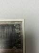画像3: 《Bayou》[3ED] MP (3)
