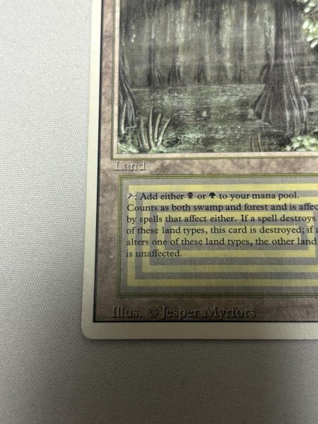 画像4: 《Bayou》[3ED] MP (4)