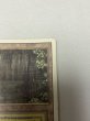画像3: 《Bayou》[3ED] MP (3)