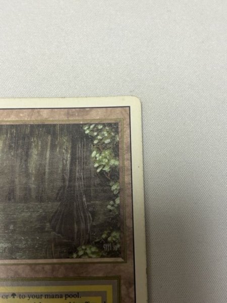 画像3: 《Bayou》[3ED] MP (3)