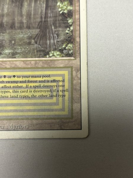 画像5: 《Bayou》[3ED] MP (5)
