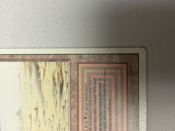 画像5: 《Badlands》[3ED] MP (5)