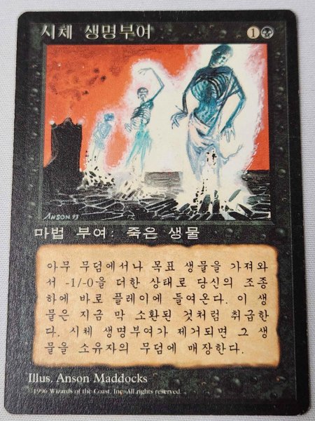 画像1: 韓国語《動く死体/Animate Dead》[4EDBB] (1)