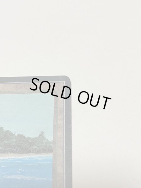 画像3: 《Tropical Island》FBB MP イタリア語 (3)