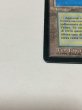 画像5: 《Tropical Island》FBB MP イタリア語 (5)