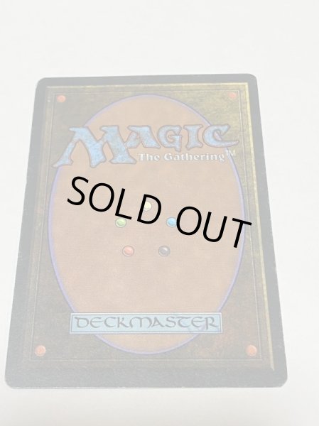 画像6: 《Tropical Island》FBB MP イタリア語 (6)