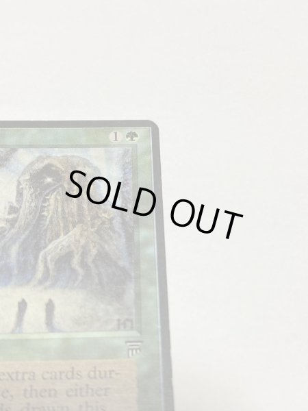 画像3: 《森の知恵/Sylvan Library》[LEG] SP (3)