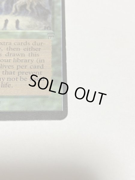 画像4: 《森の知恵/Sylvan Library》[LEG] SP (4)