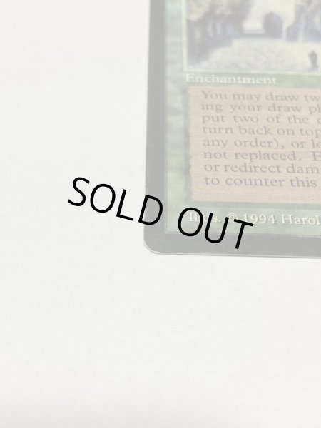 画像5: 《森の知恵/Sylvan Library》[LEG] SP (5)