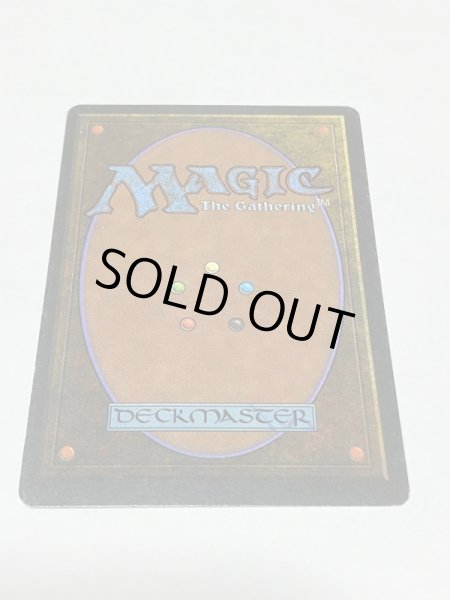 画像6: 《森の知恵/Sylvan Library》[LEG] SP (6)