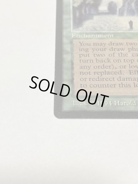 画像5: 《森の知恵/Sylvan Library》[LEG] SP (5)