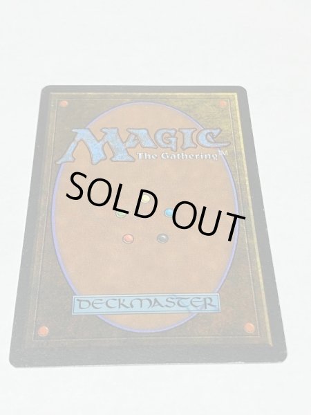 画像6: 《森の知恵/Sylvan Library》[LEG] SP (6)