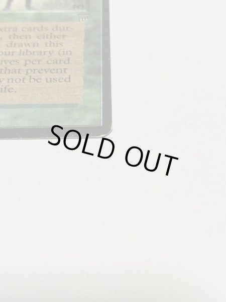 画像4: 《森の知恵/Sylvan Library》[LEG] SP (4)