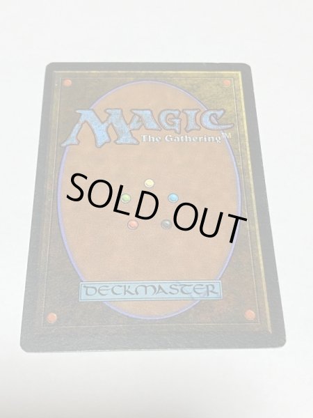 画像6: 《森の知恵/Sylvan Library》[LEG] SP (6)