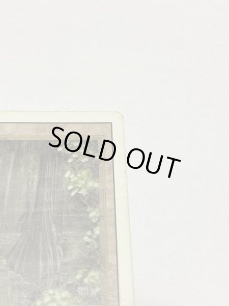 画像3: 《Bayou》3ED HP (3)