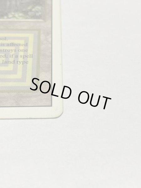 画像4: 《Bayou》3ED HP (4)