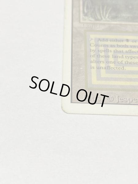 画像5: 《Bayou》3ED HP (5)